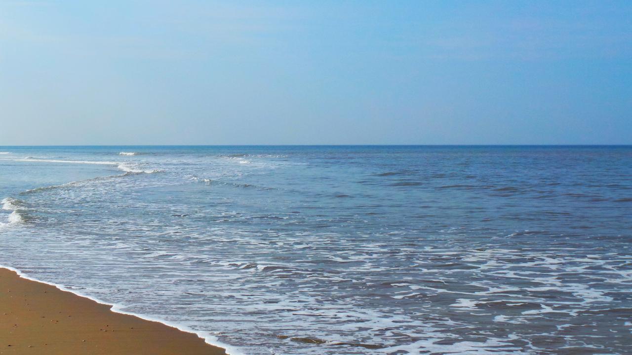 كاتفايك أن زي Hotel B&B Seahorse المظهر الخارجي الصورة